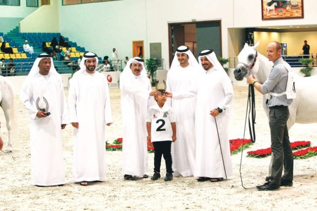 «الزبير» يتألق في السلالة المصرية ببطولة الشارقة للجواد العربي التاسعة ويستحوذ على الذهب – النتائج