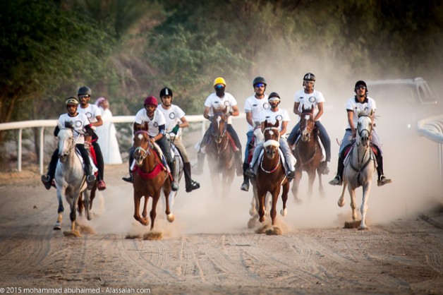 بالصور: (الدوسري) و (الصغير) و  (الضاعن) أبطال أشواط ماراثون الأصيل للخيل العربية الأصيلة بنسخته الثالثة