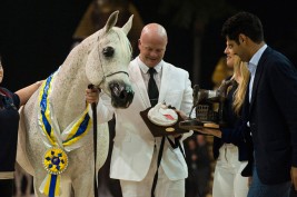 «عجمان» و «الثمامة» و «المعود» و «الخشاب» و « الشحانية» و «الشراع» أبطال أوربا ٢٠١٥ لجمال الخيل العربية – النتائج