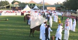 البث المباشر لبطولة منطقة مكة المكرمة السادسة ( B ) الدولية لجمال الجواد العربي بمزرعة الصواري