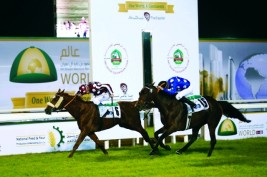 نهيان بن مبارك: المهرجان يؤكد مكانة أبوظبي عاصمة الخيول العربية بالعالم