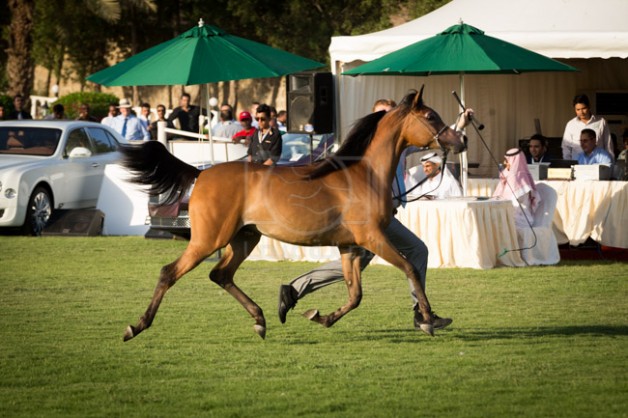 بطولة منطقة مكة المكرمة