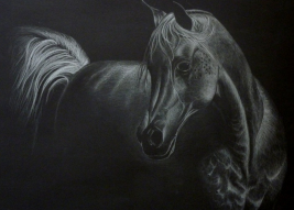 البطولة الوطنية الأكثر تميزًا بشمال امريكا تبدأ غداً