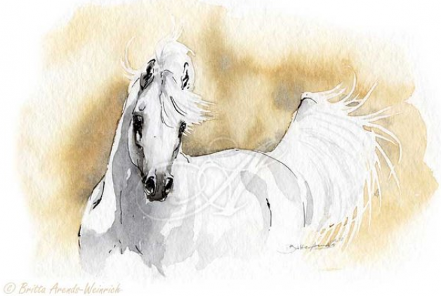 قريباً… توزيع قسائم الدفعة الثانية على مربّي الخيل العربية في الوفرة