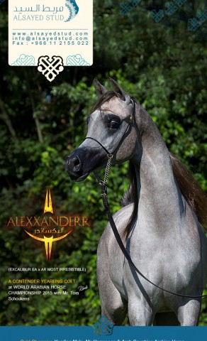 Born to Reunite West & East | ALEXXANDERR