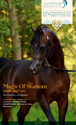 Feel the MAGIC in PARIS | MAGIC OF SHAWAN
