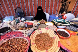 مركز الملك عبدالعزيز للخيل العربية يدعوا الأسر المنتجه للمشاركة الإجتماعية في البطولة المقبلة