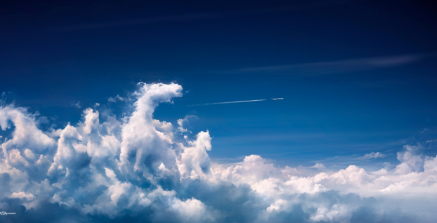 فقدان الجنين المبكر في الأفراس