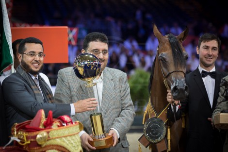 مقتطفات اليوم الختامي من بطولة العالم باريس ٢٠١٥ لجمال الخيل العربية الأصيلة