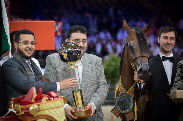 مقتطفات اليوم الختامي من بطولة العالم باريس ٢٠١٥ لجمال الخيل العربية الأصيلة