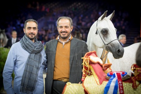 «عذبه» رواية من ذهب و«الزبير» يتسلى بالأفراس و «الشقب» يا للعجب!! – الصور والنتائج النهائية لبطولة العالم باريس ٢٠١٥