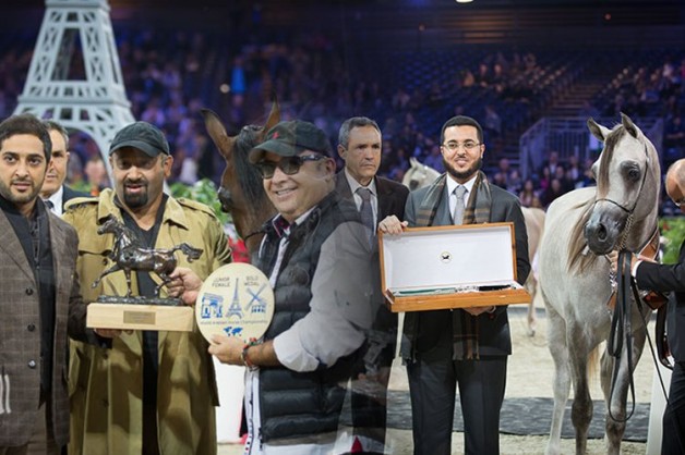 «السيد» و «الصقران» باتا نداً صعباً في أقوى المنافسات العالمية وأحرجا العديد من مرابط الخبرة والتاريخ!