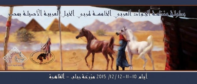 Alassalah Media covers the Championship of Arabian Horses Breeders in Egypt
