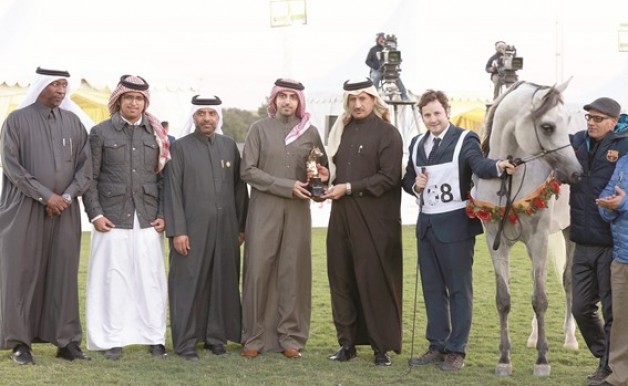 ختام مثير لبطولة جمال الخيل العربية الأصيلة المحلية بقطر
