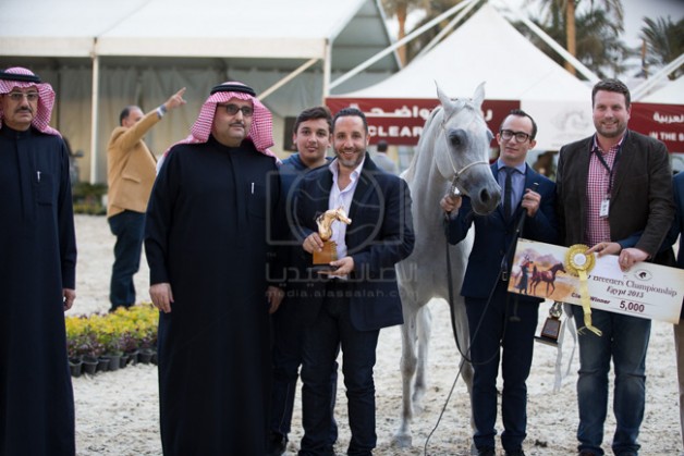 «البيداء» يهيمن على ذهب المربين ببطولة الجواد العربي الخامسة لمربي الخيل العربية بمصر – النتائج النهائية بالصور