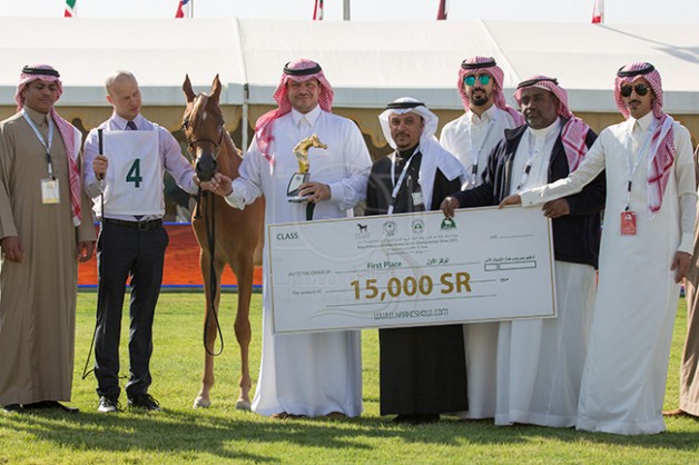 نتائج فئات اليوم الأول من بطولة مركز الملك عبدالعزيز الدولية الثانية لجمال الخيل العربية الأصيلة