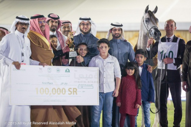 «المعود» ذهب الإناث حصرياً و «السيد» و «الحمد» و «الخالدية» أبطال الأفحل والأمهار ببطولة مركز الملك عبدالعزيز الدولية الثانية لجمال الخيل العربية – نتائج وصور