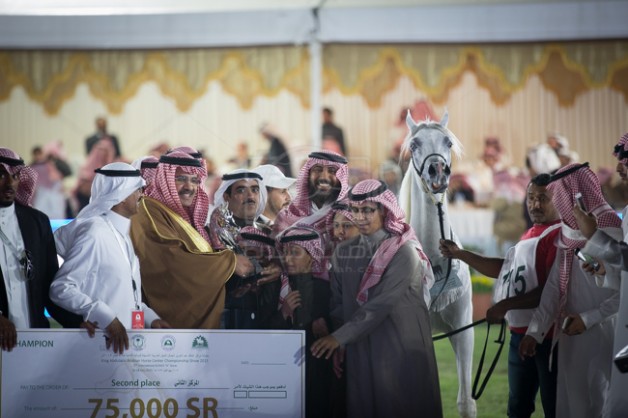 المهر «فهد التنهاة» يحقق جائزة الواهو لعام ٢٠١٥م