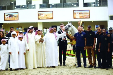«الصقران» و «عجمان» و «دبي» و «الهواجر» ابطال مهرجان الشارقة للجواد العربي ٢٠١٥ للإنتاج المحلي – النتائج النهائية