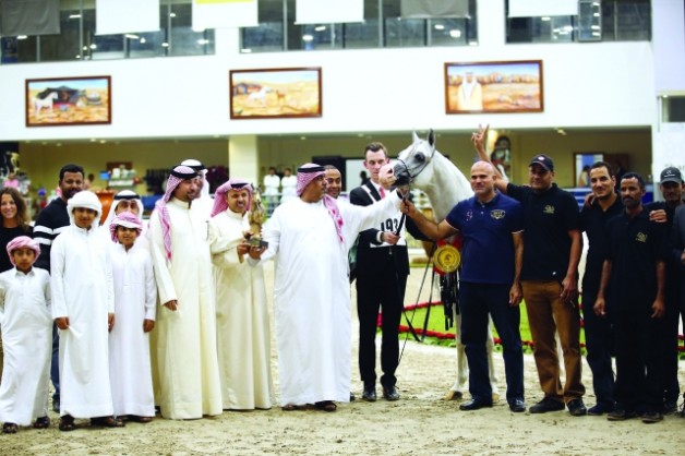 «الصقران» و «عجمان» و «دبي» و «الهواجر» ابطال مهرجان الشارقة للجواد العربي ٢٠١٥ للإنتاج المحلي – النتائج النهائية