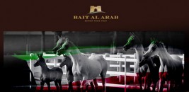 انطلاق مهرجان الكويت الدولي ٢٠١٦ لجمال الخيل العربية اليوم