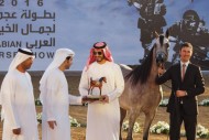 «الزبير» و «دبي» و «الأريام» و «الخزنة»  أبطال (عجمان) ٢٠١٦ لجمال الخيل العربية الأصيلة – النتائج