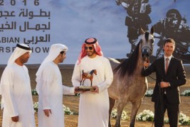 «الزبير» و «دبي» و «الأريام» و «الخزنة»  أبطال (عجمان) ٢٠١٦ لجمال الخيل العربية الأصيلة – النتائج