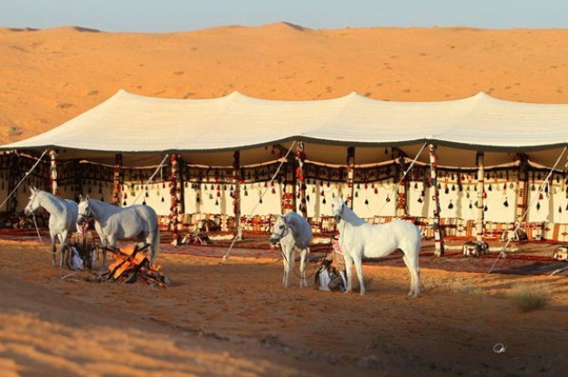 سياحة في حديث: “جاء أبو بَرْزةَ الأسلمي على فرس، فصلى وخلَّى فرسه…”