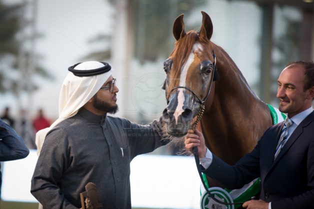 عشاق الخيول العربية الأصيلة يودعون البطل “ايدن سي” 2005 – 2020 – انجازات وصور