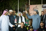 «الصقران» يحلق عالياً بذهب وفضة الأفراس بأبوظبي ٢٠١٦ لجمال الخيول العربية – النتائج النهائية بالصور
