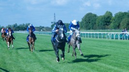 مربط عذبة يشارك في سباق كأس قطر العالمي