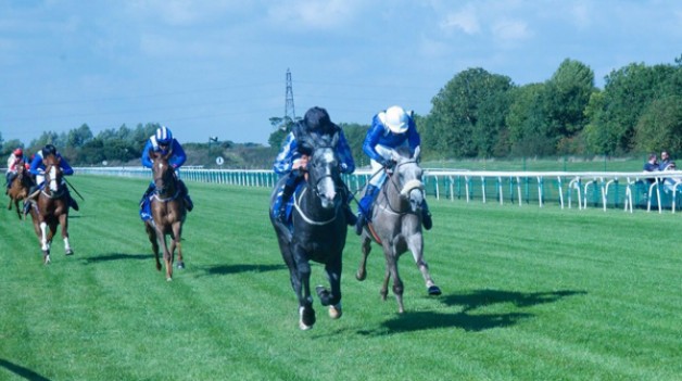 مربط عذبة يشارك في سباق كأس قطر العالمي