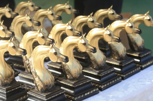 بطولة الفجيرة الأولى لجمال الخيول العربية