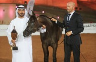 «الصقران» و «دبي» و «البلوشي» و «النخيل» و «الحبسي» ابطال (الفجيرة) الأولى لجمال الخيل العربية