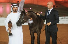 «الصقران» و «دبي» و «البلوشي» و «النخيل» و «الحبسي» ابطال (الفجيرة) الأولى لجمال الخيل العربية