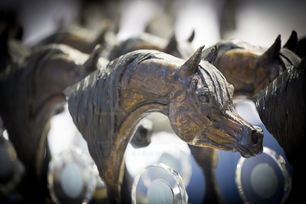 إثارة واستنفار مساء اليوم في نهائيات «دبي الدولية» 2016 للجواد العربي – الخيل المتأهلة