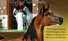 مزرعة الخالدية و ماجورا في بطولة كل الأمم آخن ٢٠١١