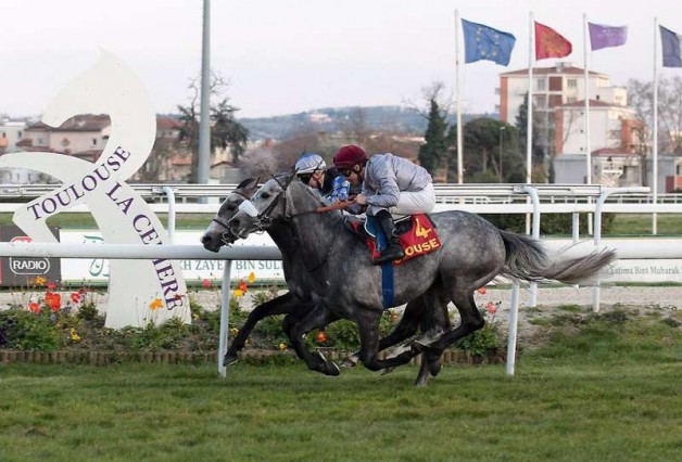 مربط عذبة يفتتح موسم السرعة بإنجاز جديد