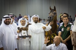 صور مقتطفات اليوم الختامي لبطولة دبي الدولية للجواد العربي ٢٠١٦