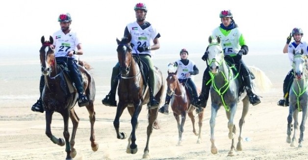 بطولة العالم لسباقات القدرة