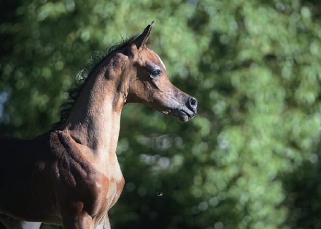 Newly Weaned — Closely Watched