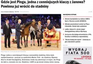 Where is Pinga!؟, One of the Most Valuable Mares in Janów Stud? She should go back to the Stud