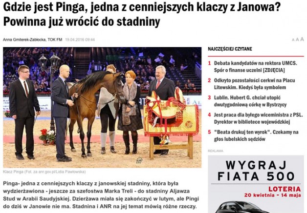 Where is Pinga!؟, One of the Most Valuable Mares in Janów Stud? She should go back to the Stud