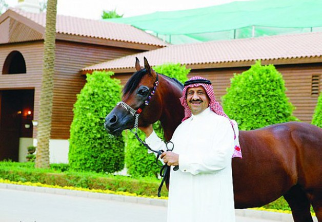 الخالدية..إحدى رواد جمال الخيل العربية