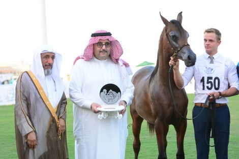 «عذبه» و«الخالد» و«الهدد» و«الخالدية» ابطال الأحساء الوطنية السابعة لجمال الخيل العربية – نتائج وصور