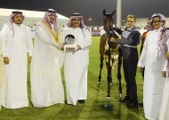 «عذبه» يتفوق بإنتاجه بـ (قابل و بازغة) ويسيطر على ذهب عمر السنة بإجماع الحكام في بطولة الأحساء الوطنية السابعة