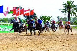 مهرجان منصور بن زايد للخيول العربية يخطف الأضواء في المغرب