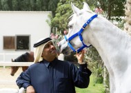 الشيخ حمد بن علي آل ثاني يعود مجدداً للـ «الشقب»