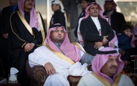 سباقات سرعة للخيل العربية