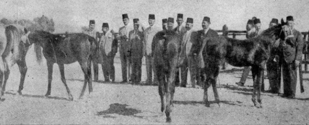 مزاد خيل عباس باشا.. عمره أكثر من مائة وخمسين عاما!